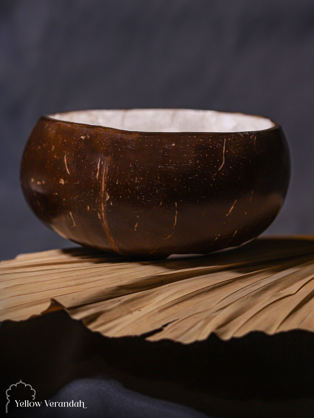 Natural Coconut Bowl - White Sea Shell