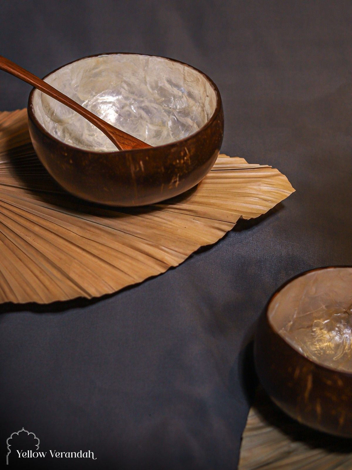 Natural Coconut Bowl - White Sea Shell