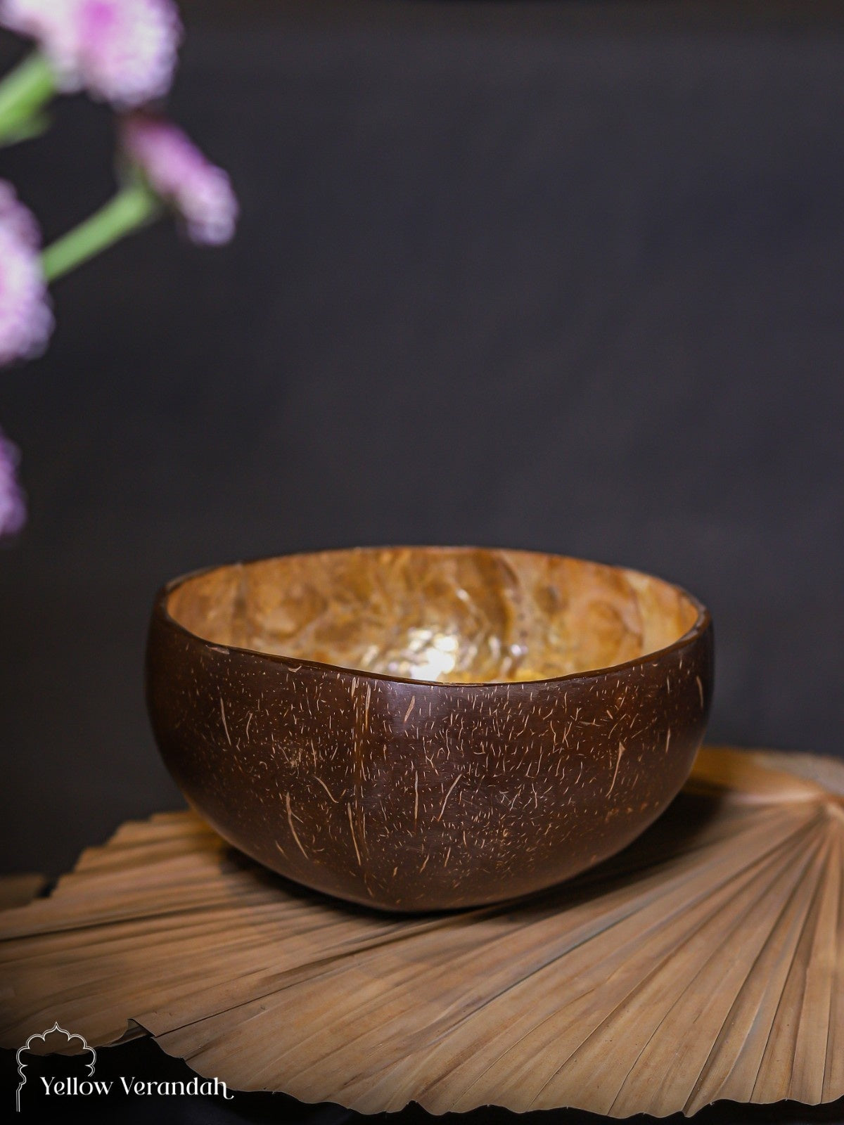 Natural Coconut Bowl - Amber Sea Shell