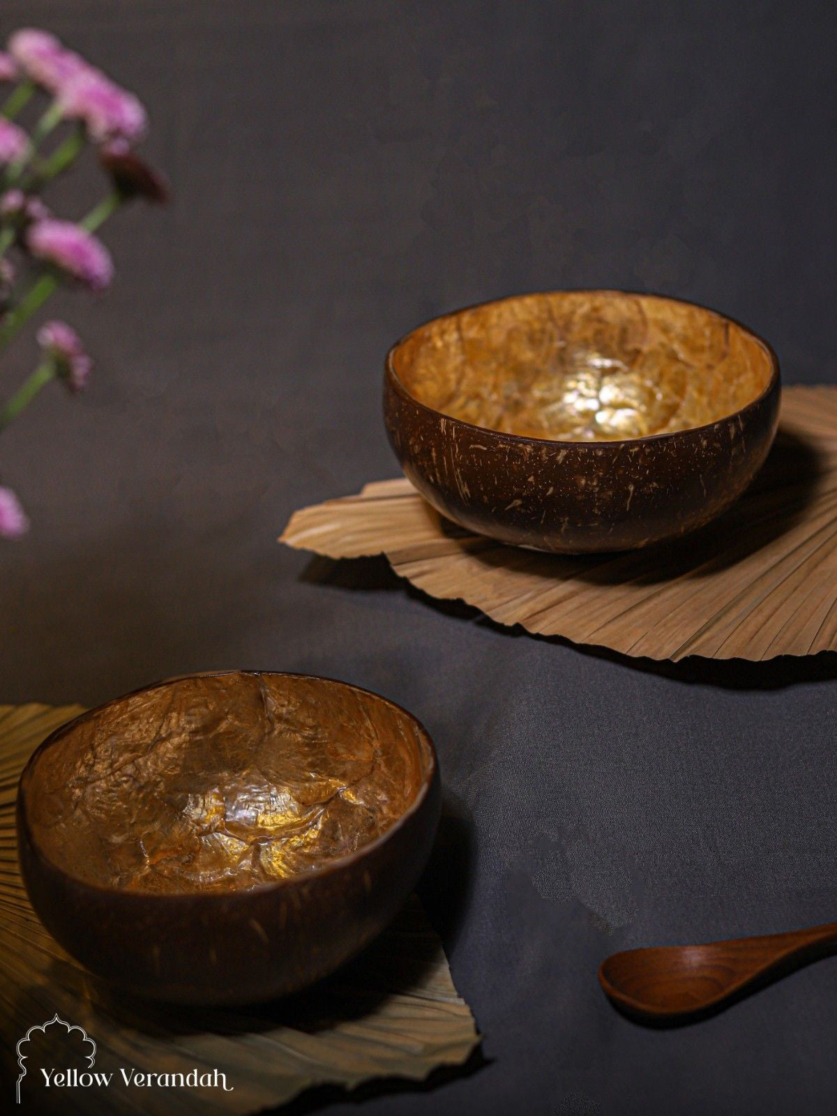 Natural Coconut Bowl - Amber Sea Shell