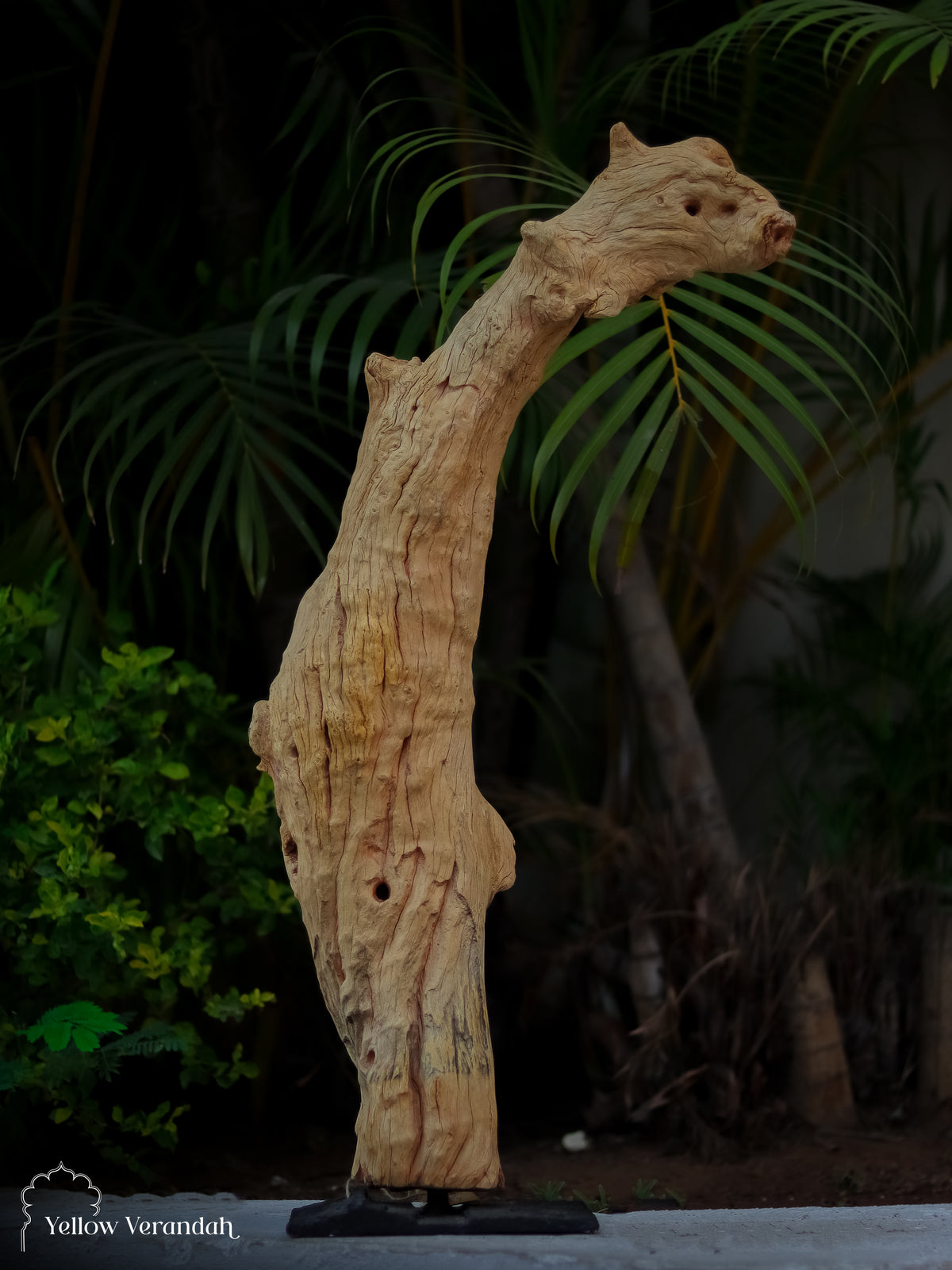 Drifted Wood Table Decor 
