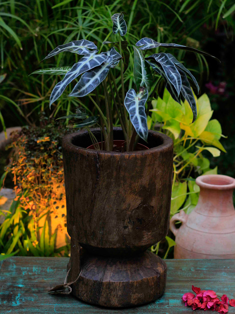 Antique Wooden Pot