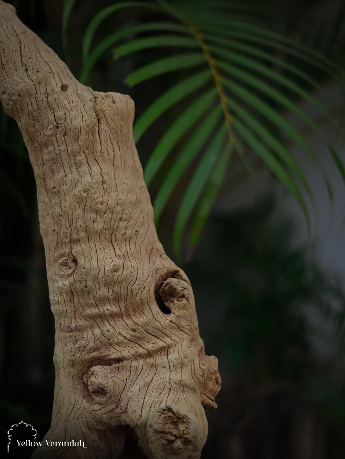 Natural Wood Table Decor 