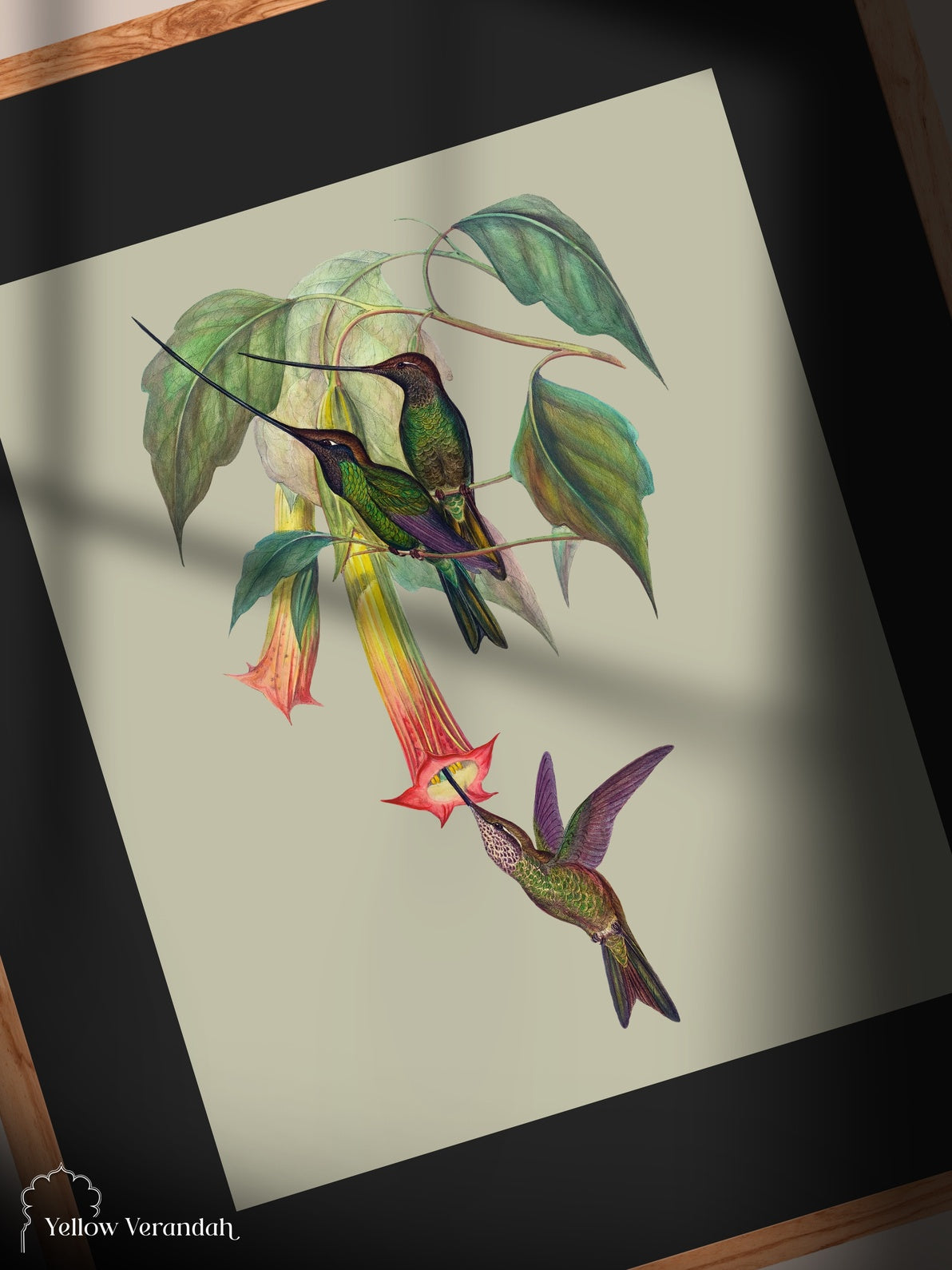 Limited Print Wall Frame - Birds Series