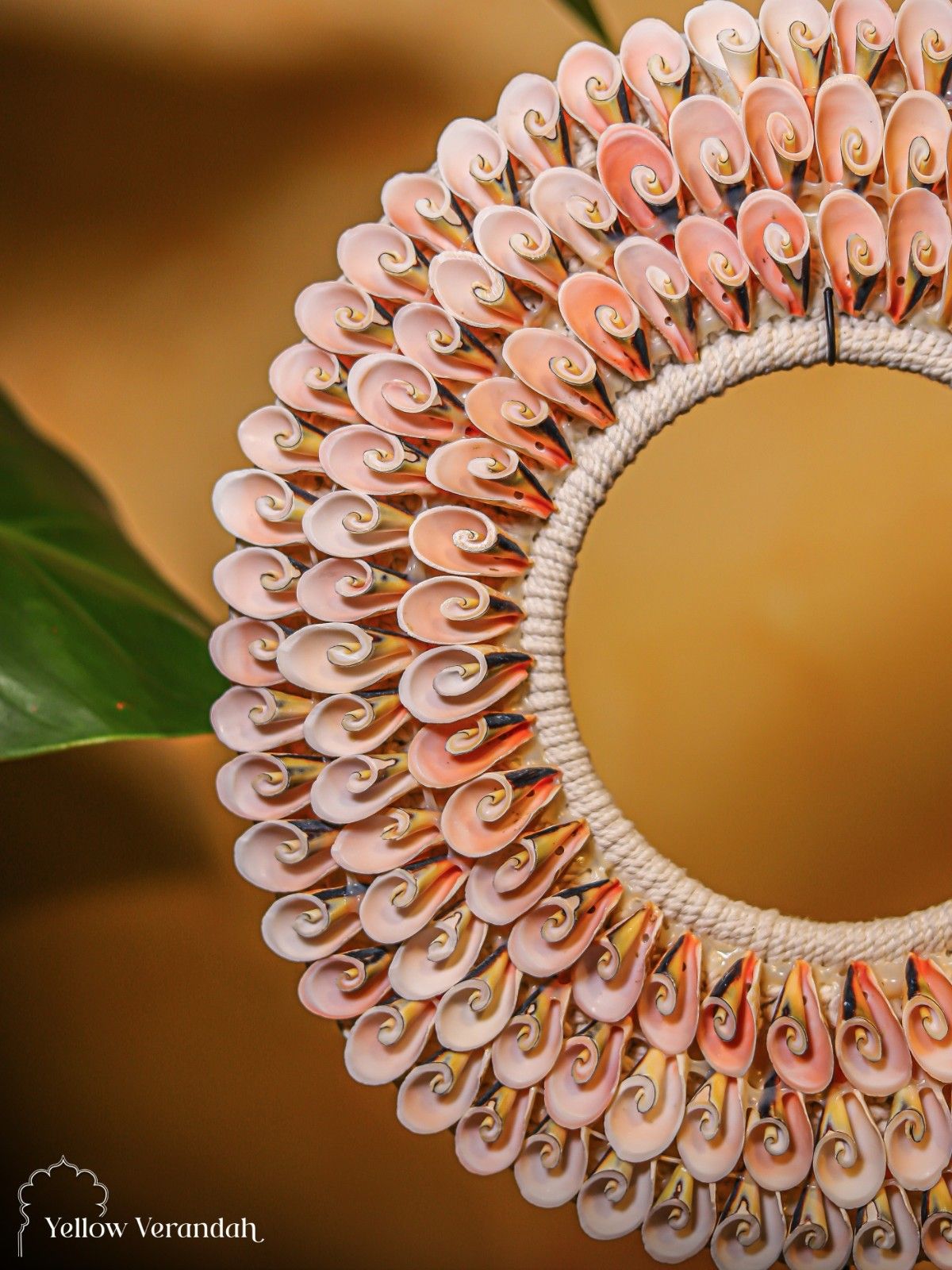 Pink Conch Shell Decor