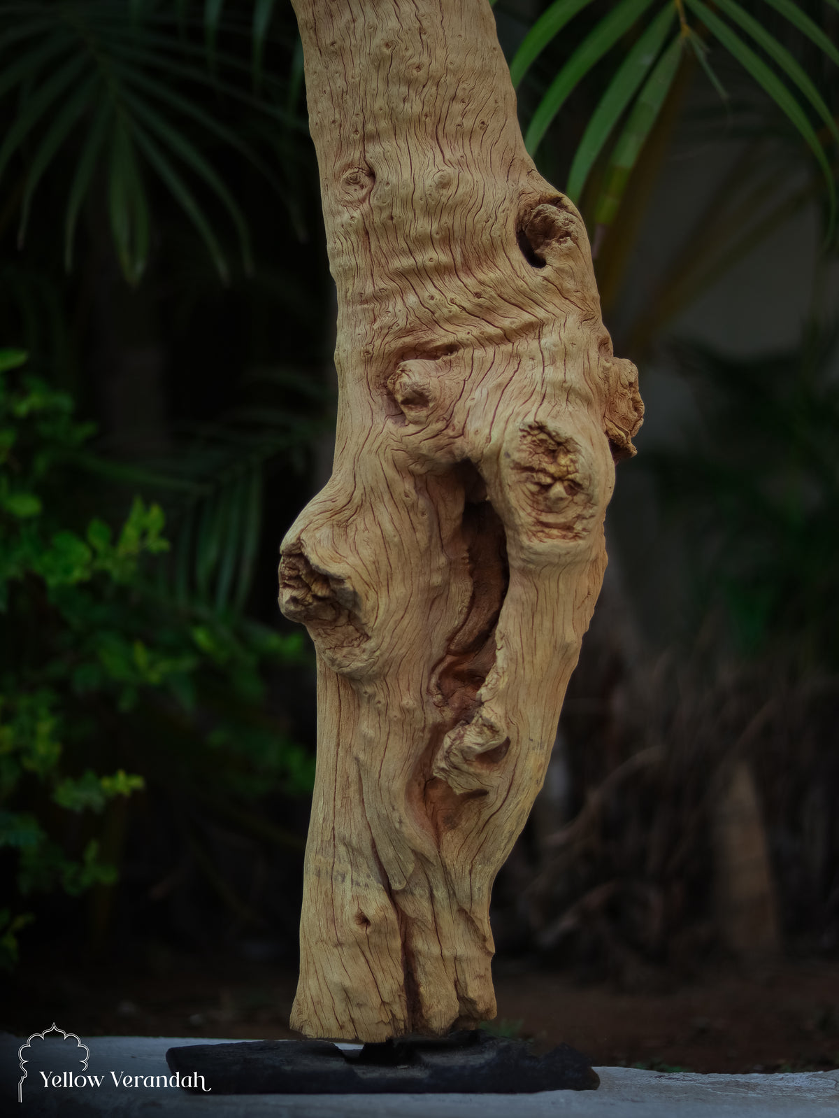 Tree Trunk Table Decor 