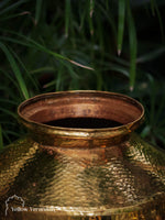 Vintage Brass Pot on Parrot Legs