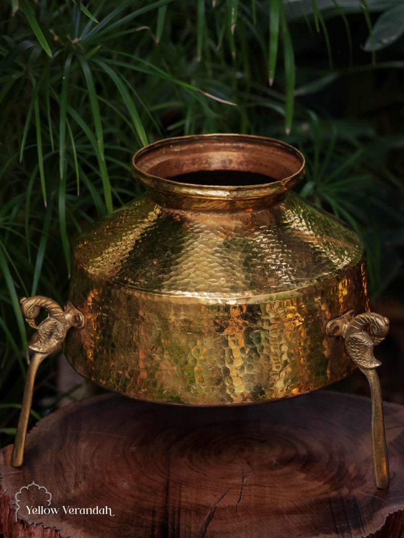 Vintage Brass Pot on Parrot Legs